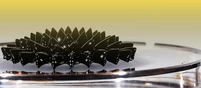 Precious Metal Catalysts Uses in Industry: Applications, Benefits, and Future Trends Precious Metal Catalysts Uses in Industry: Applications, Benefits, and Future Trends