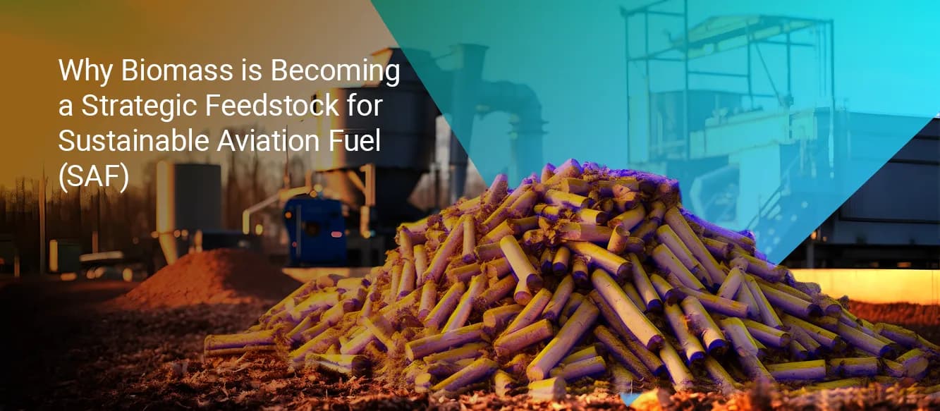 Why Biomass is Becoming a Strategic Feedstock for Sustainable Aviation Fuel (SAF) Why Biomass is Becoming a Strategic Feedstock for Sustainable Aviation Fuel (SAF)