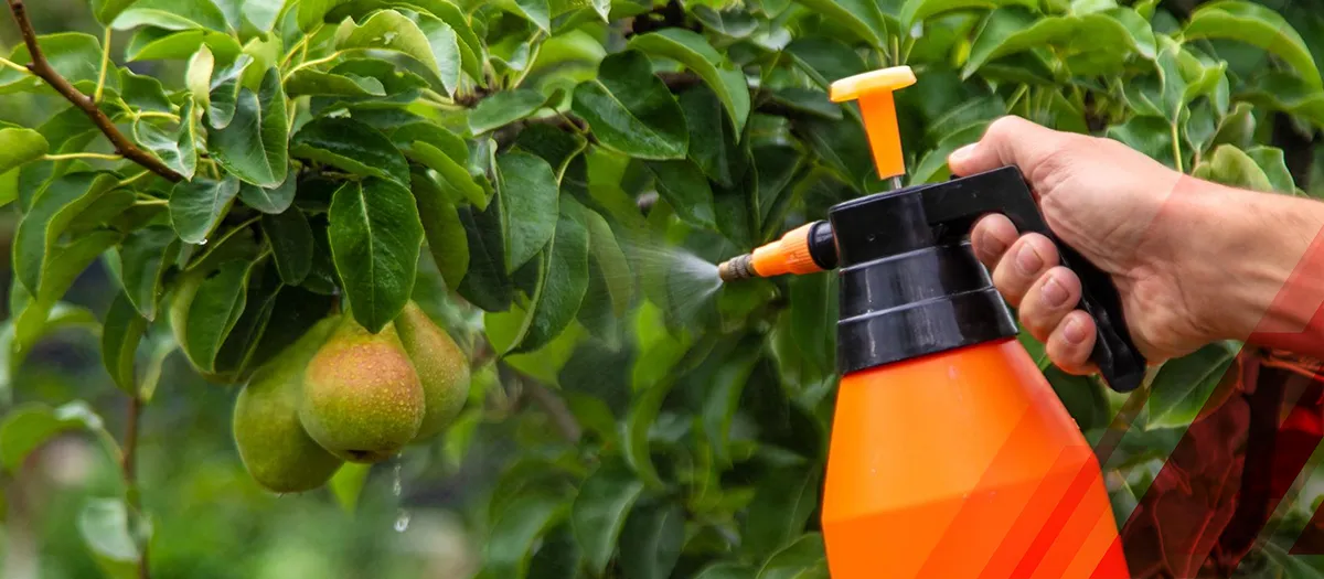 Top 10 Companies in the Biopesticides Market: Leading the Green Revolution Top 10 Companies in the Biopesticides Market: Leading the Green Revolution