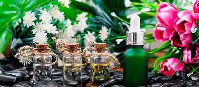 Personalized Organic Perfumes: The Rise of Custom Fragrance Experiences Personalized Organic Perfumes: The Rise of Custom Fragrance Experiences