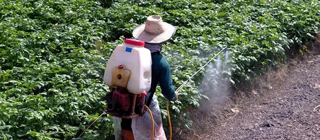 Top 10 Global Companies Setting New Standards in the Herbicides Market Top 10 Global Companies Setting New Standards in the Herbicides Market